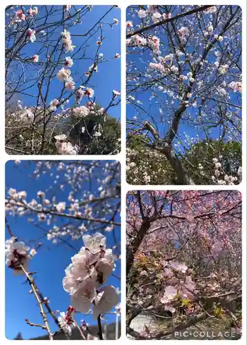 筑波山神社(茨城県)