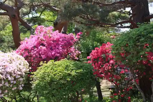 開成山大神宮の庭園