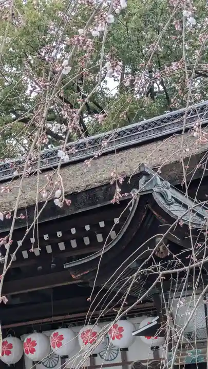 平野神社(京都府)