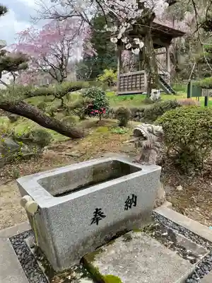 金剛寿院 (伝法寺)の手水舎
