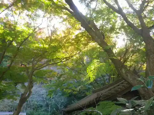 瑞泉寺のその他建物