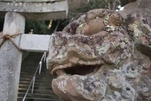 粟嶋神社の狛犬