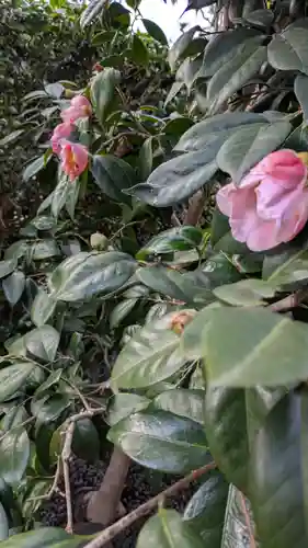 祐正寺(京都府)