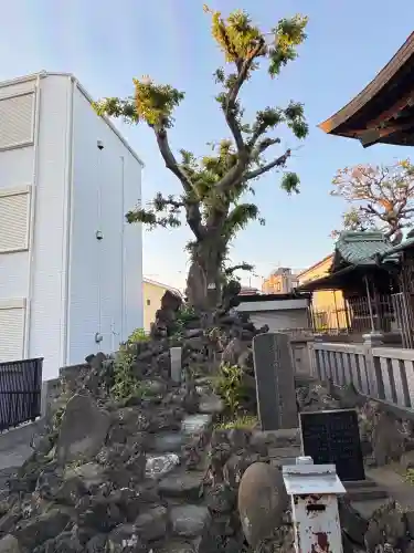 桑川神社のその他建物