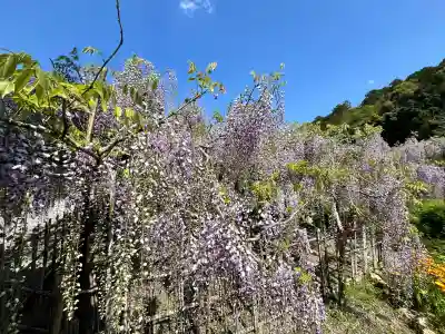 白毫寺熊野権現社(兵庫県)