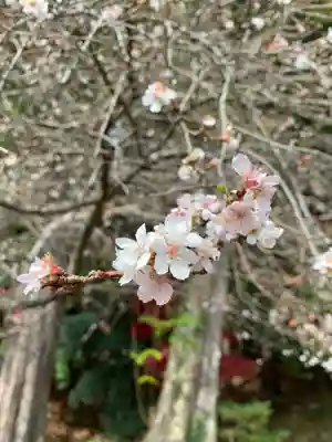 鹿島大神宮(福島県)