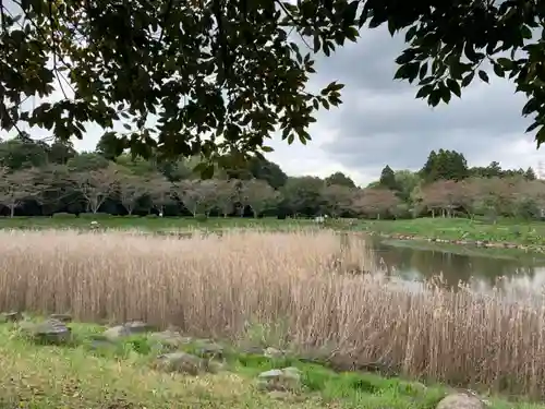 弁天神社の自然
