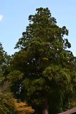 河島山神社(高知県)