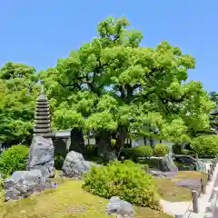 崇福寺(岐阜県)