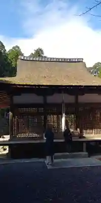 白山神社の本殿・本堂