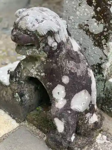 伊古奈比咩命神社の狛犬