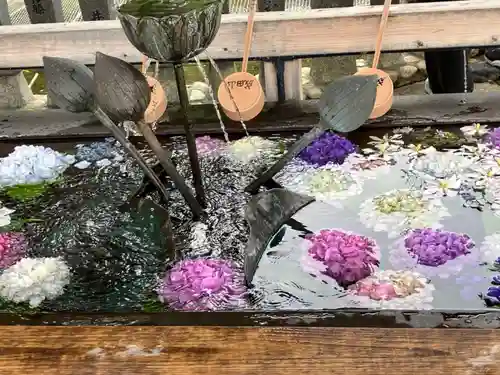 成田山名古屋別院大聖寺(犬山成田山)の手水舎