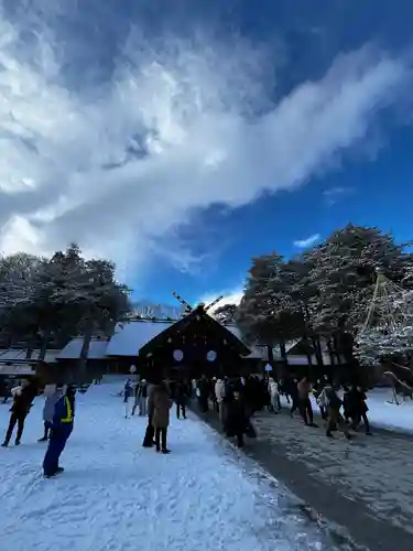 北海道神宮の初詣