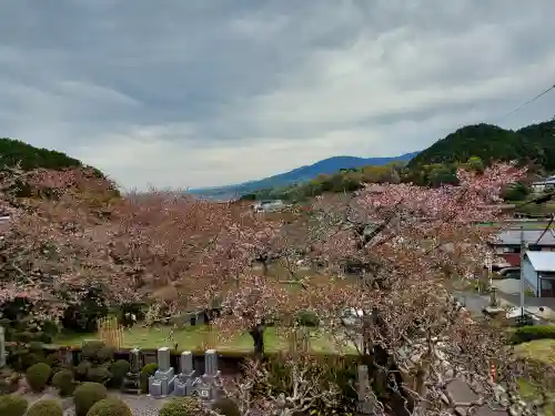 聖林寺の{uncategorized: "未分類", other: "その他", undefined: "問題あり", building: "その他建物", grave: "お墓", sacred_gate: "鳥居", guardian: "狛犬", statue: "像", buddha: "仏像", history: "歴史", nature: "自然", garden: "庭園", animal: "動物", pagoda: "塔", temizu: "手水舎", mountain_gate: "山門・神門", sanctuary: "本殿・本堂", subordinate: "末社・摂社", art: "芸術", scenery: "景色", jizo: "地蔵", ema: "絵馬", goshuin: "御朱印", omikuji: "おみくじ", items: "授与品その他", amulet: "お守り", goshuincho: "御朱印帳", eats: "食事", festival: "お祭り", votive_dance: "神楽", shichigosan: "七五三参", wedding: "結婚式", experience: "体験その他", initially: "初詣", around: "周辺", anti_infection: "感染症対策"}