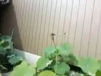 全忠寺(愛知県)