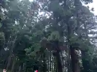 大宮温泉神社(栃木県)