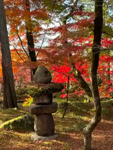禅林寺（永観堂）の庭園