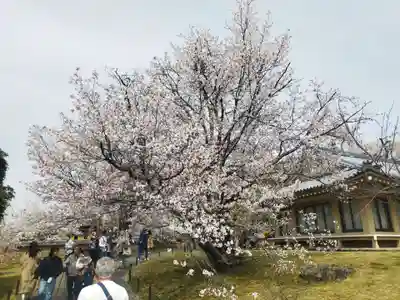 宝聚院(京都府)