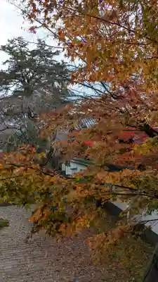 実相院門跡(京都府)