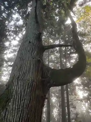 武蔵御嶽神社奥の院(東京都)
