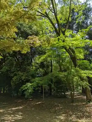 向日神社(京都府)