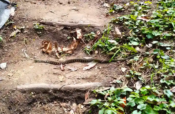 洲崎神社(千葉県)