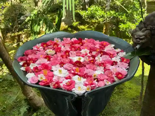 法然院(京都府)