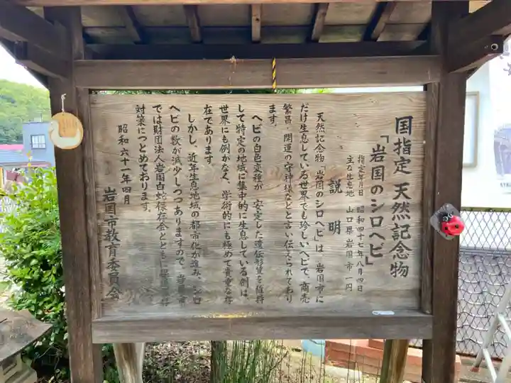 岩国白蛇神社(山口県)