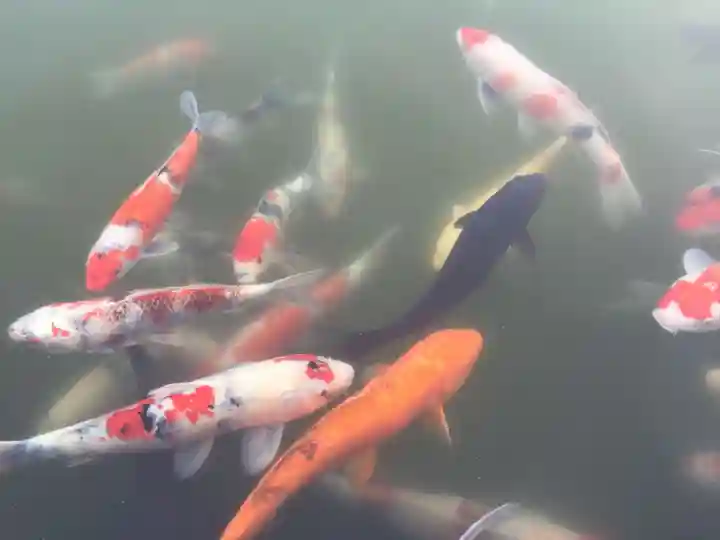 勝尾寺のその他建物