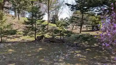 極楽寺の庭園