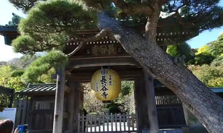 長谷寺の山門・神門