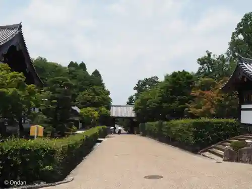 東福禅寺（東福寺）(京都府)