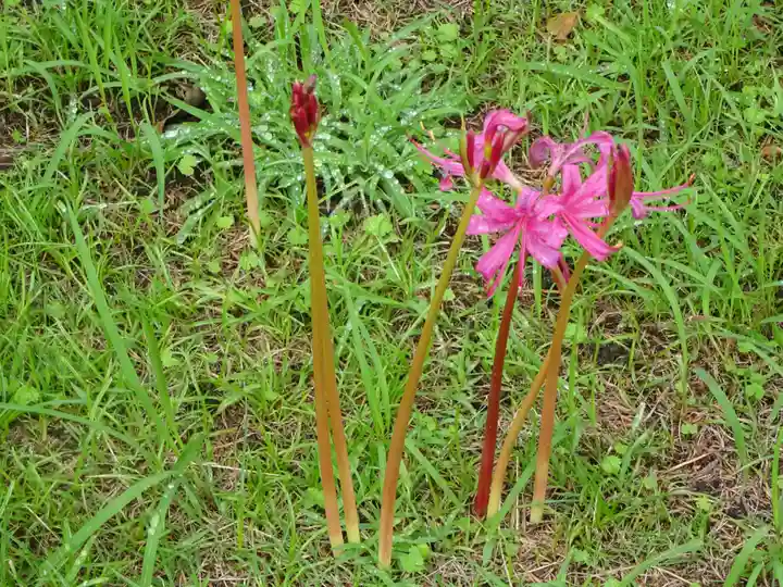 横浜 西方寺の自然