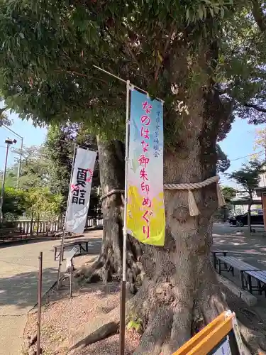 大宮・大原神社(千葉県)
