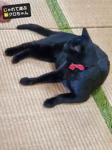高司神社〜むすびの神の鎮まる社〜(福島県)