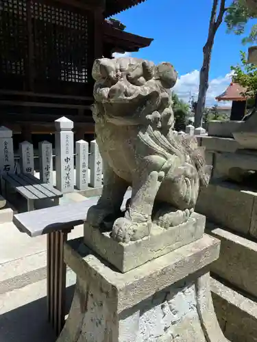 崇道天皇神社の狛犬