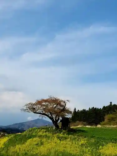 小沢の桜祠の景色