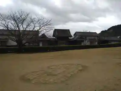 猫神社(鹿児島県)