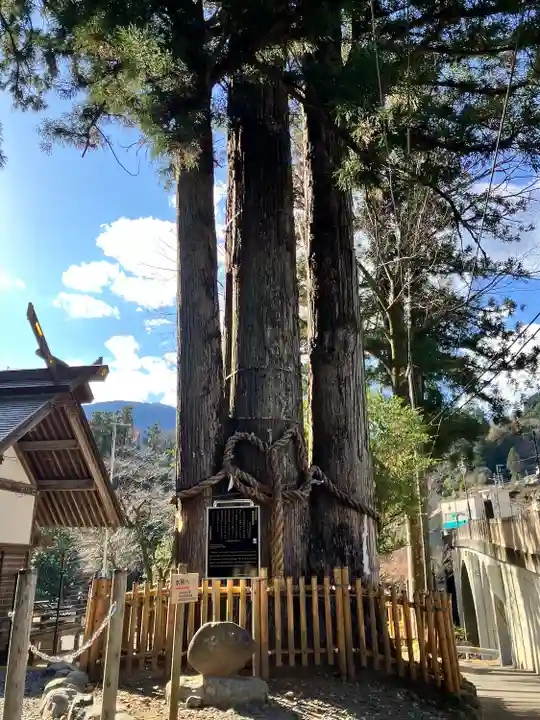 奥氷川神社(東京都)