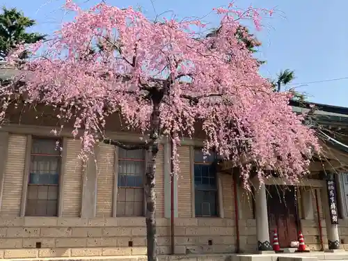 竹駒神社の自然