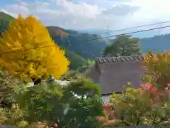 堀越癪観音(和歌山県)