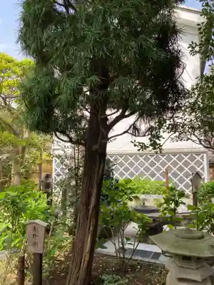 成就院のその他建物