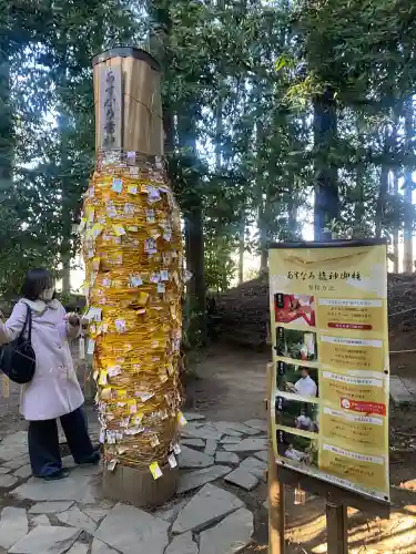 下野 星宮神社(栃木県)