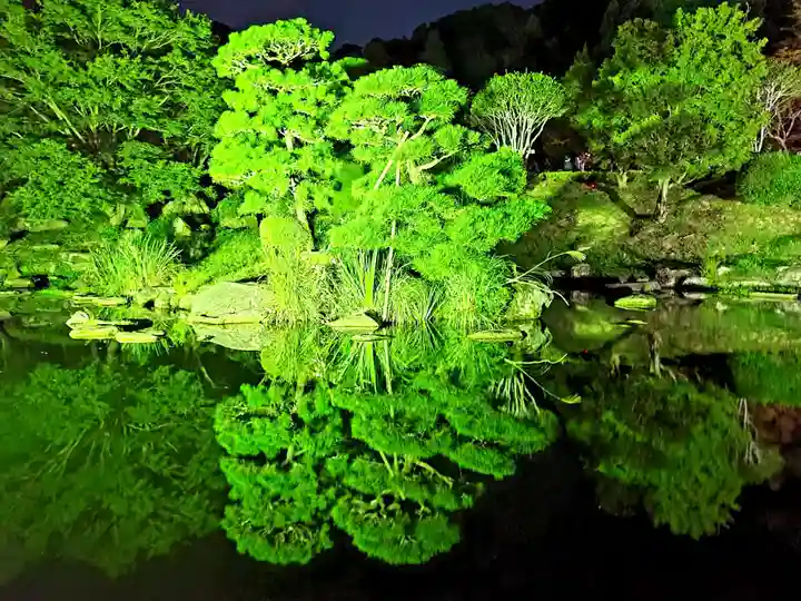 瑠璃光寺の自然