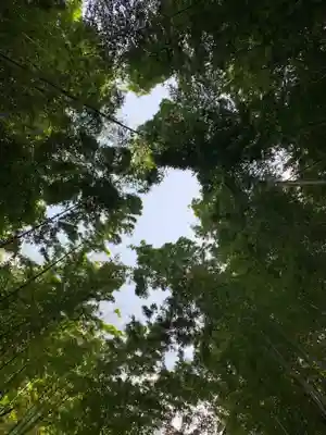 子安神社の自然