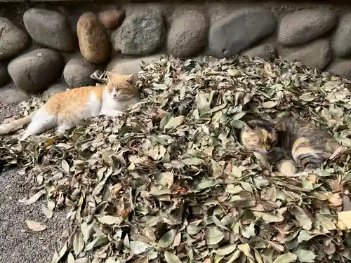 雀神社(茨城県)