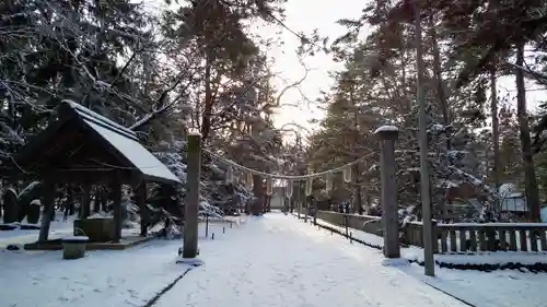 東川神社の鳥居