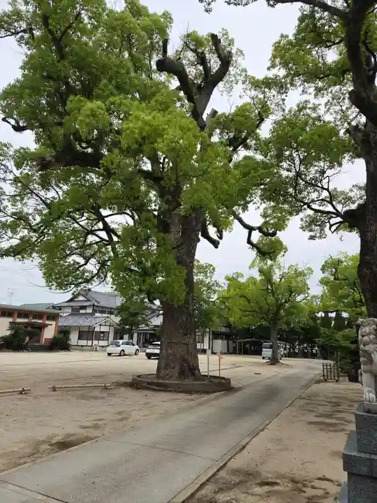 佐賀縣護國神社(佐賀県)