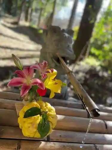 須山浅間神社(静岡県)