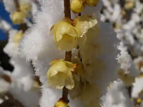 清水寺(栃木県)